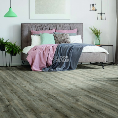 IVC Divino (Click, тиснение в регистр) IVC Divino 53967N фото 5 | FLOORDEALER